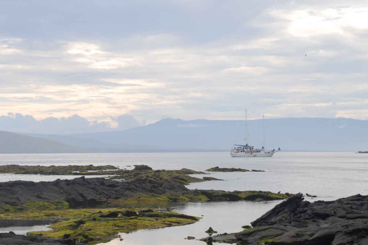 Island Exploration - Cachalote