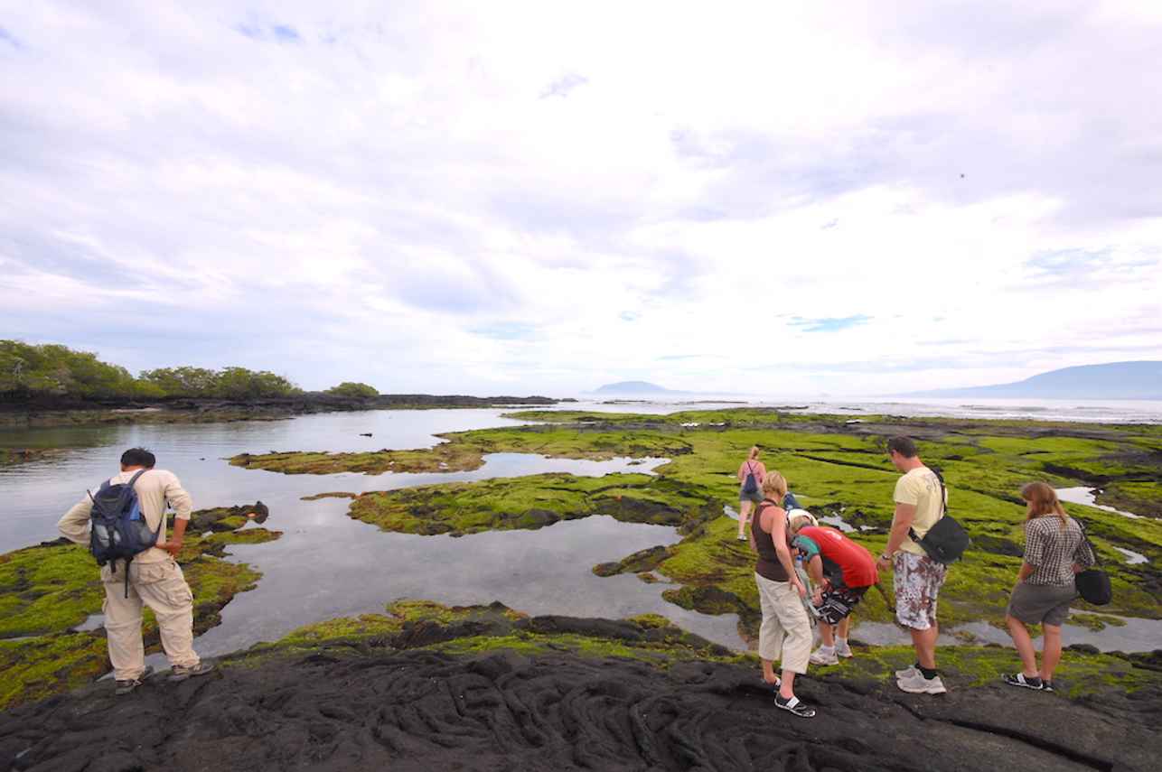 Island Exploration - Cachalote