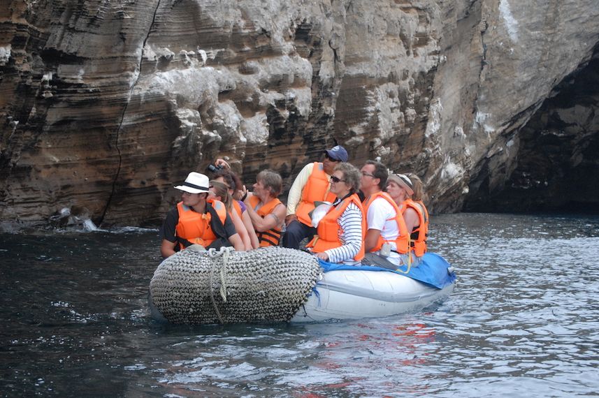 Esplorazione dell'isola - Cachalote