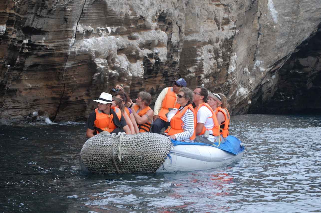 Island Exploration - Cachalote