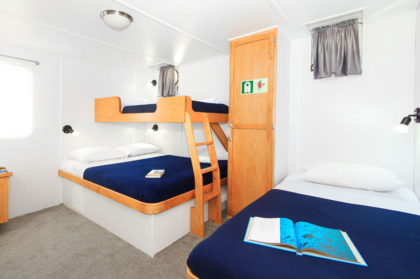 Cabina Tripla - Cachalote