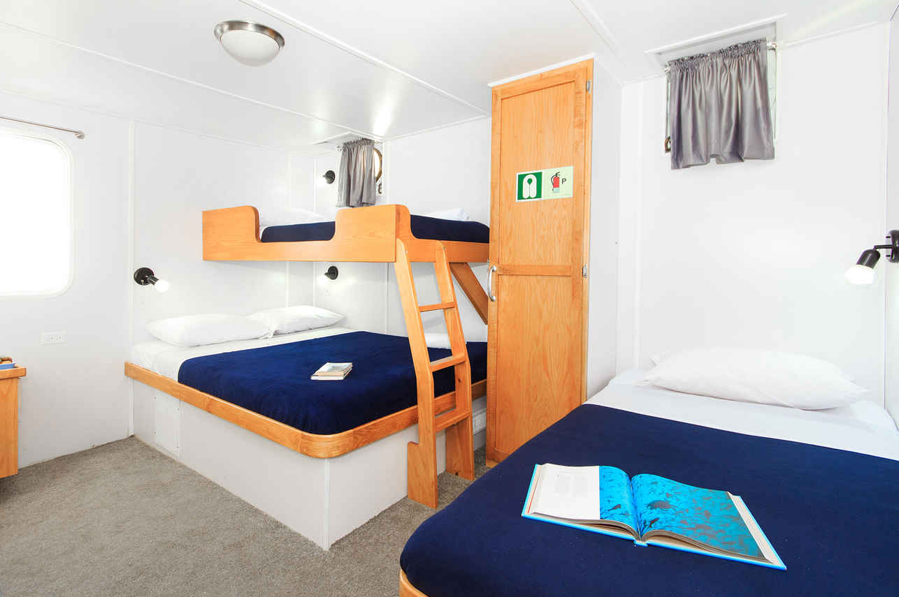 Triple Cabin - Cachalote