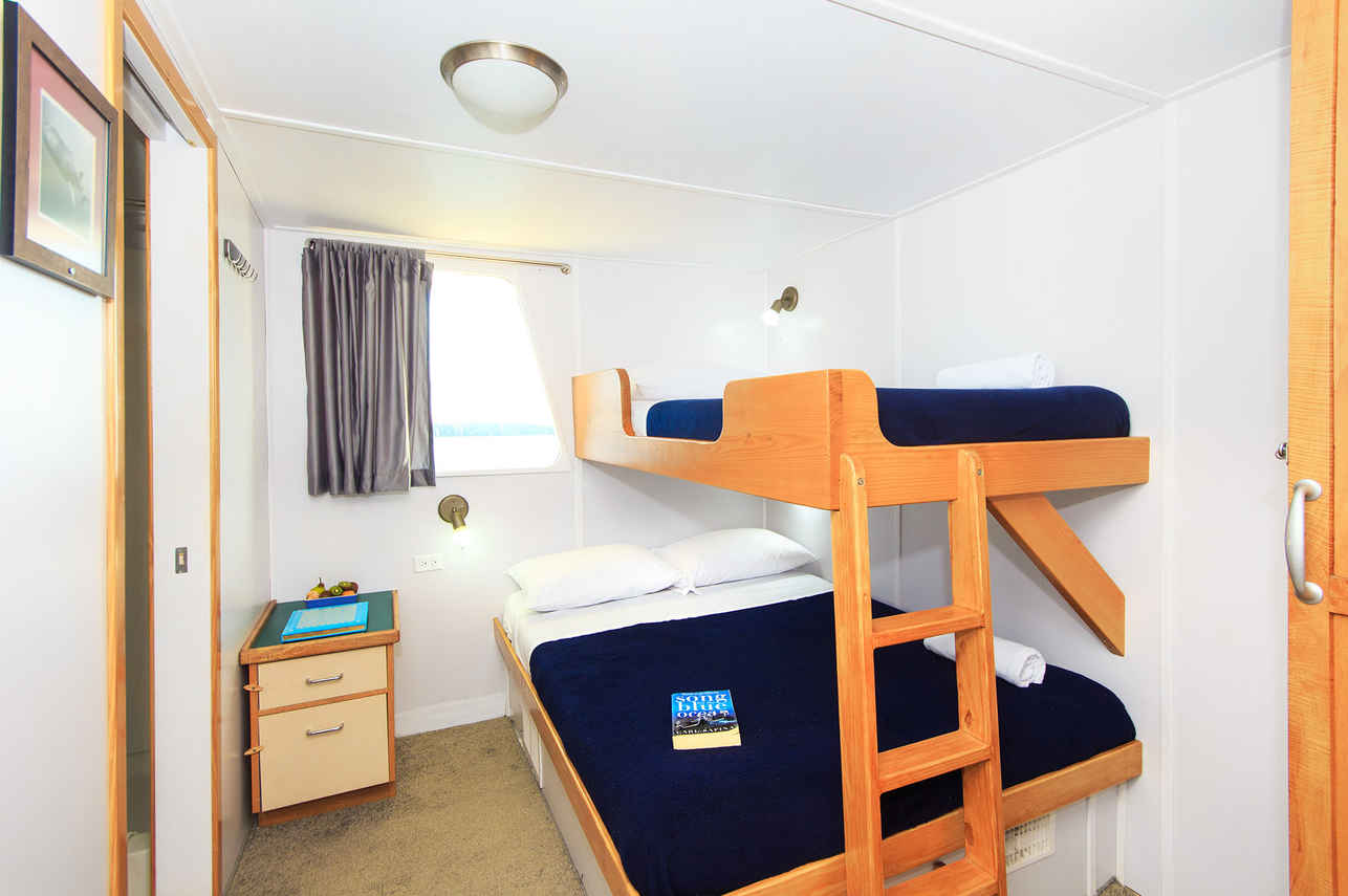 Standard Bunk Cabin - Cachalote