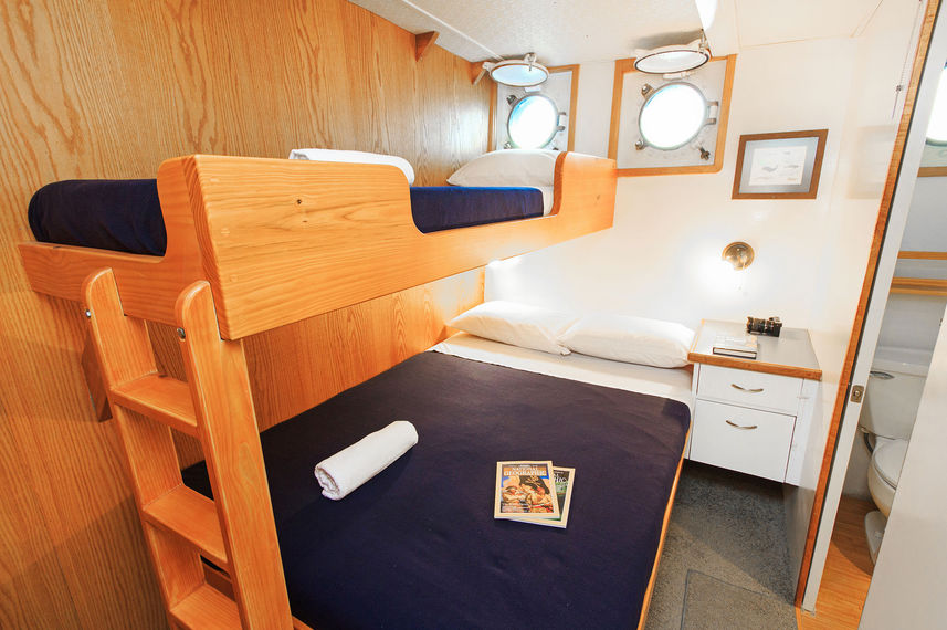 Cabina letto a castello standard - Cachalote