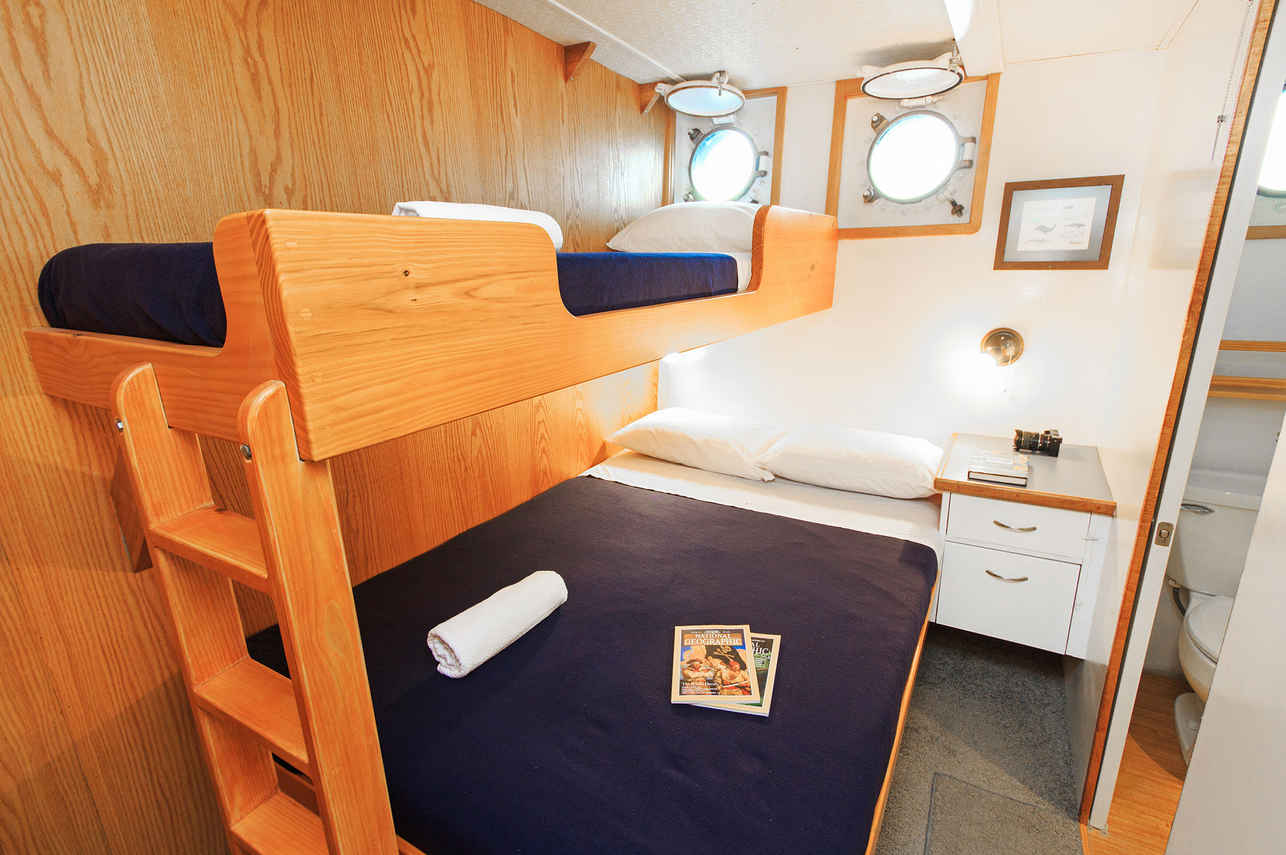 Standard Bunk Cabin - Cachalote