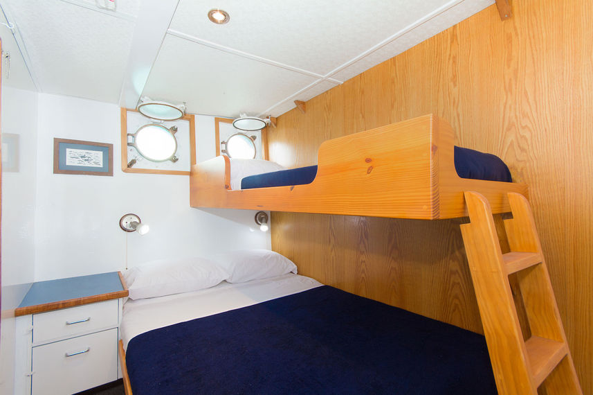 Cabina letto a castello standard - Cachalote