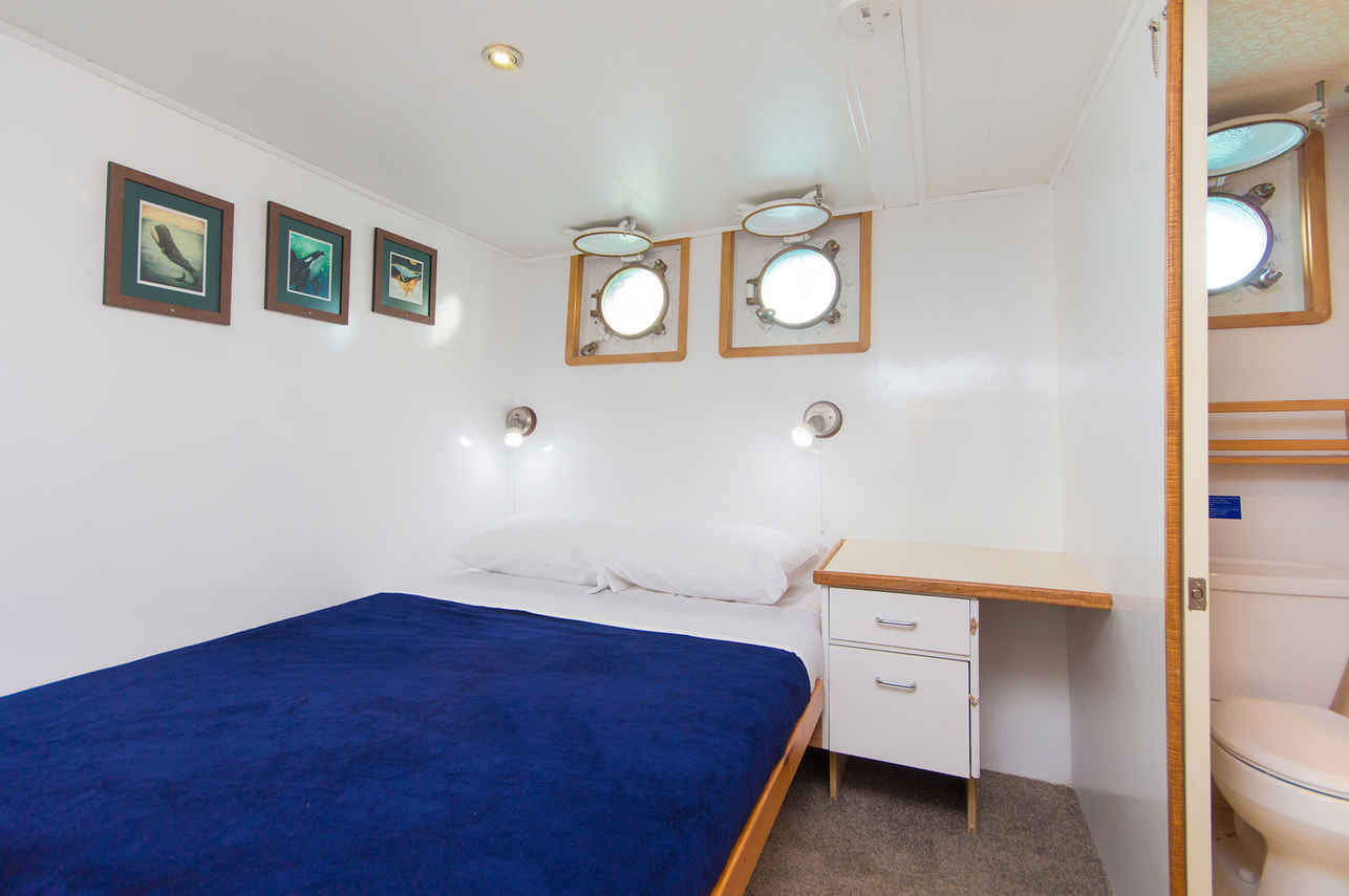 Double Cabin - Cachalote