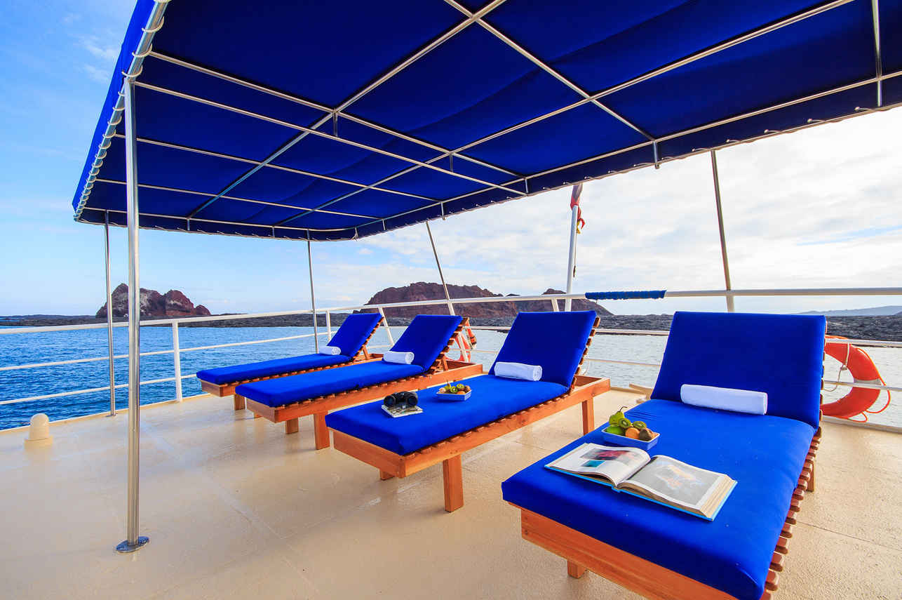 Sun Deck - Cachalote