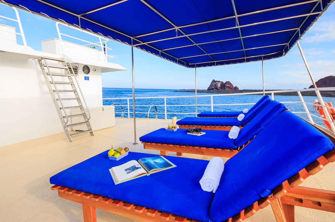 Sun Deck - Cachalote