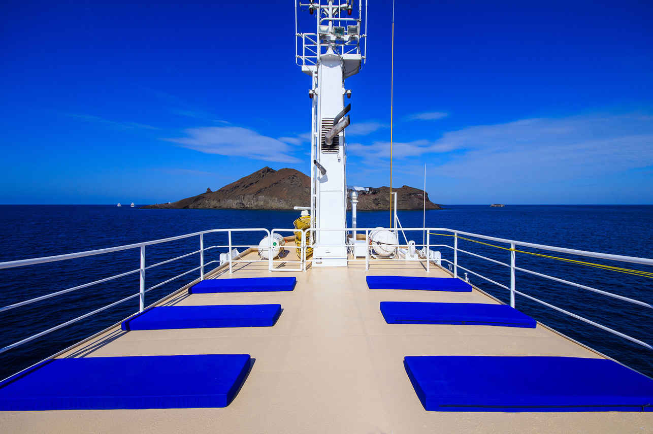 Sun Deck - Cachalote