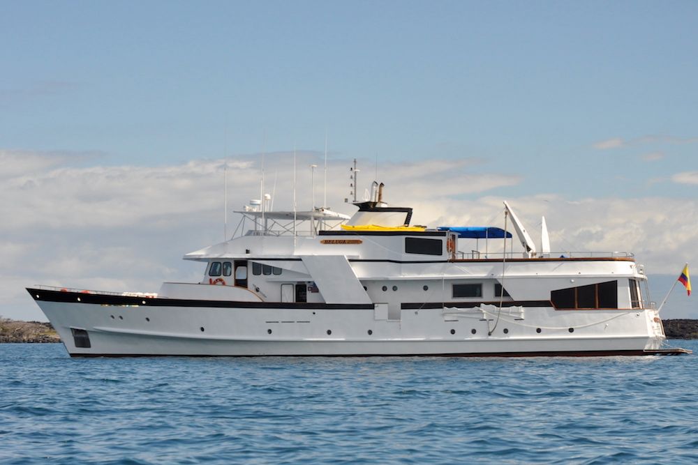 Beluga Yacht Galapagos