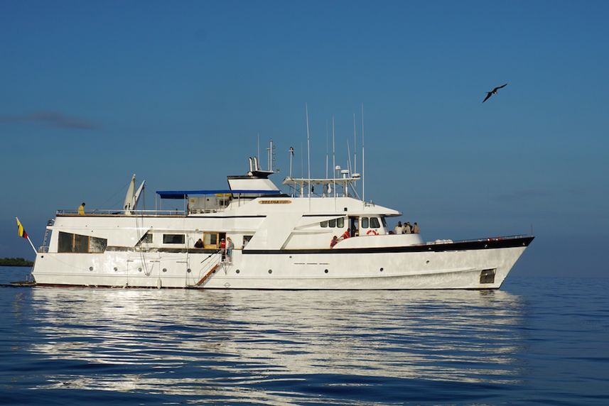 Beluga Yacht Galapagos