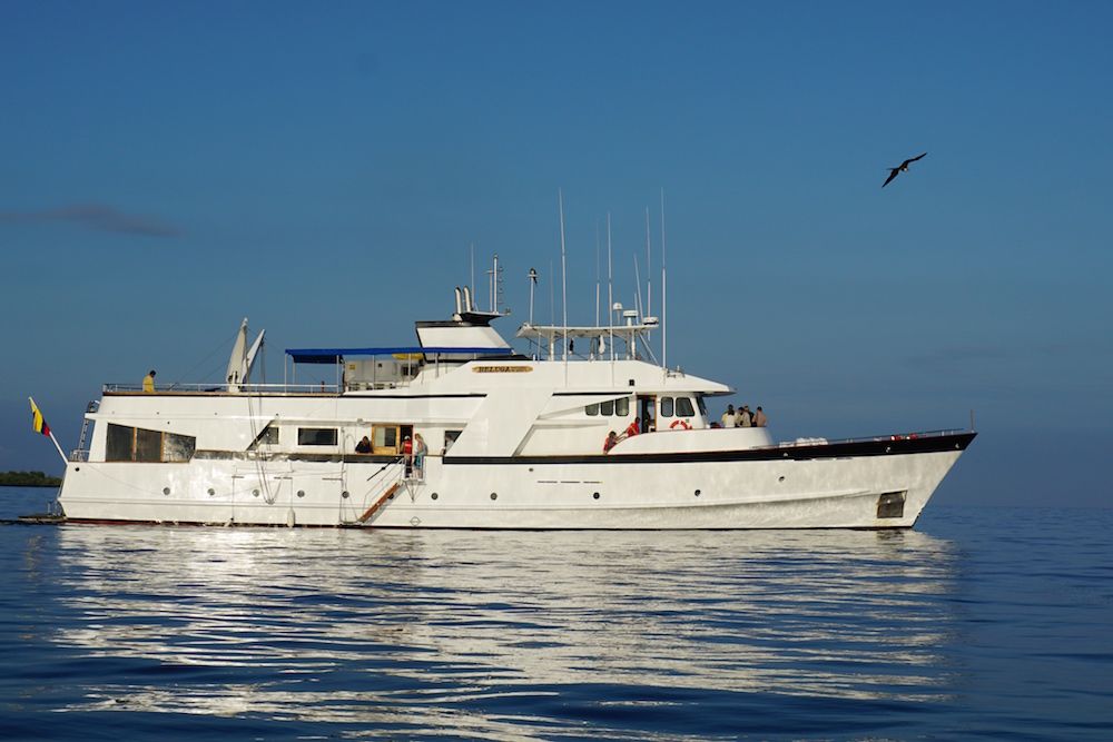 Beluga Yacht Galapagos