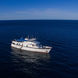 Beluga Yacht Galapagos