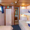Triple Cabin - Beluga