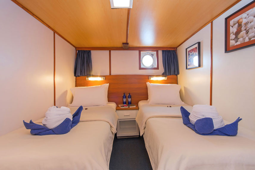 Twin Cabin 4 - Beluga Galapagos