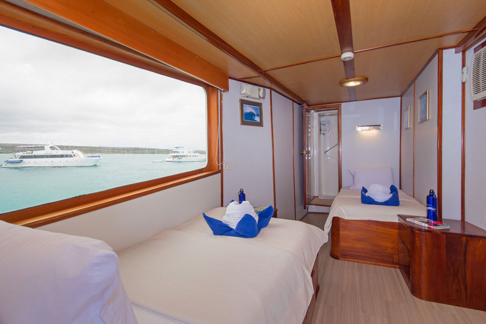 Twin Cabin 8 - Beluga Galapagos