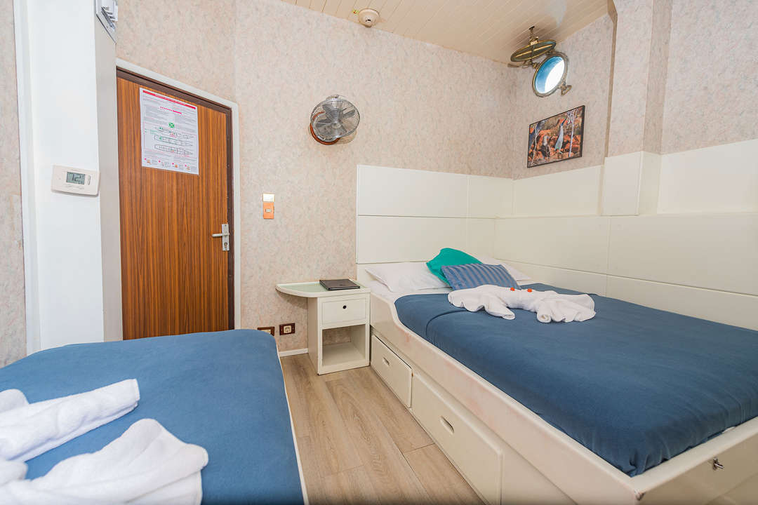 Twin/Double Cabins
