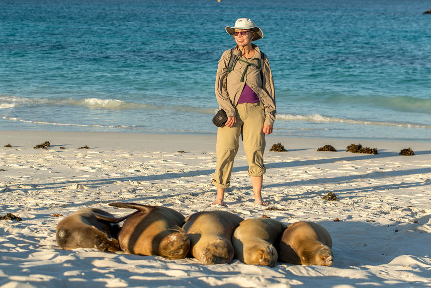 Sealions - Mary Anne