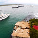 M/Y Passion Galapagos