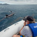 Dolphin spotting - MY Passion Galapagos