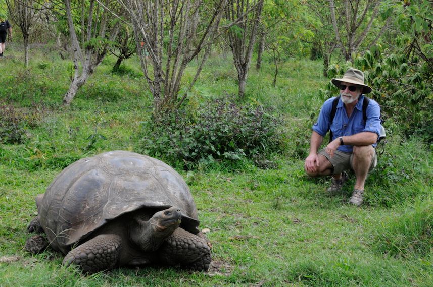 Tortuga gigante  - Passion