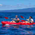 Kayaking in the Galapagos