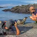 Up close and personal with Sea Lion pups