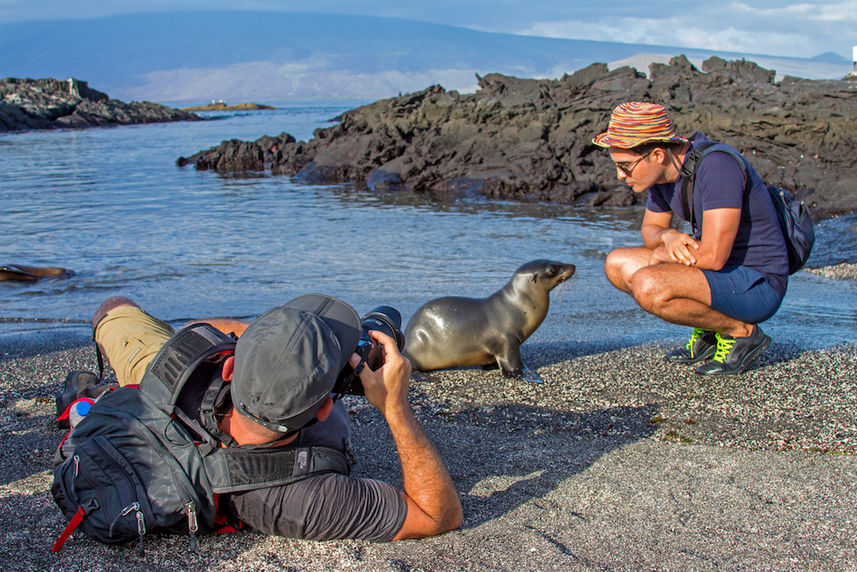 Up close and personal with Sea Lion pups