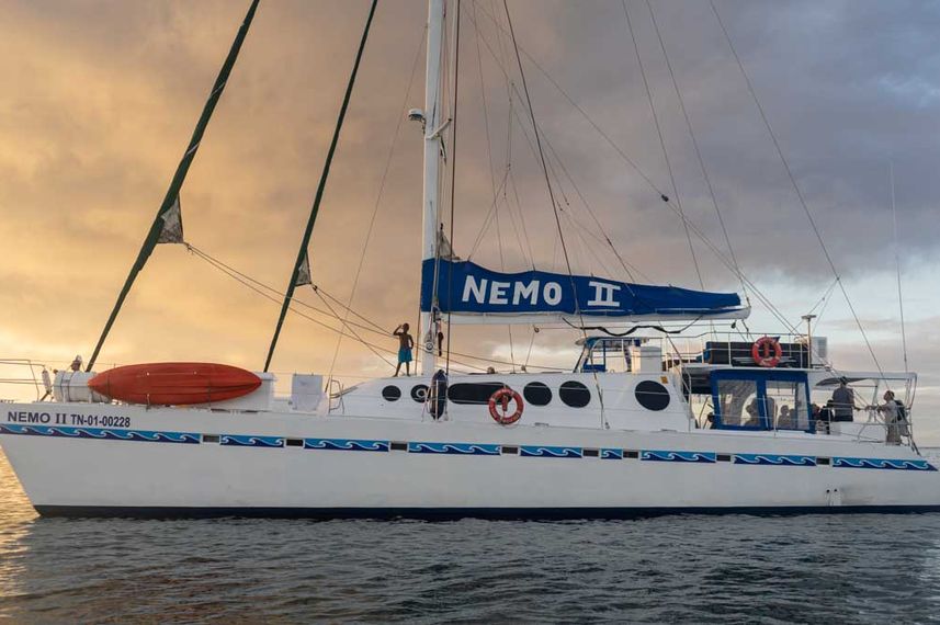 Nemo II