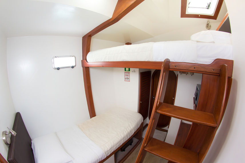 Cabin 4