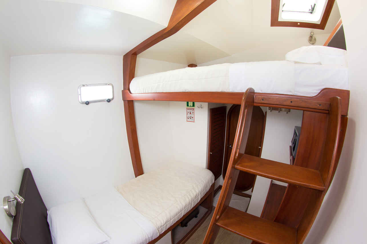 Cabin 4