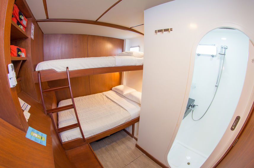 Cabin 5