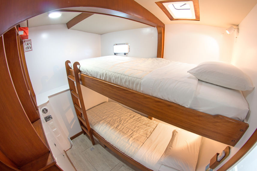 Cabin 6
