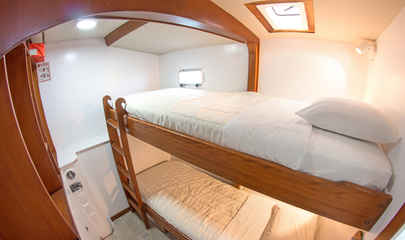 Cabin #6