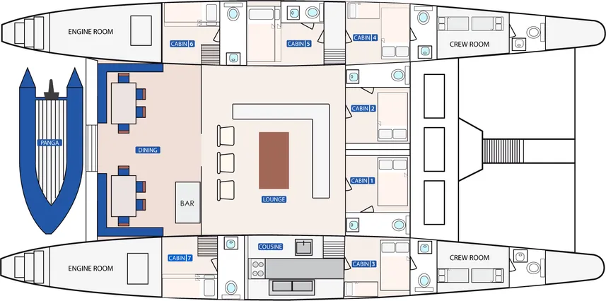 disposizione del ponte