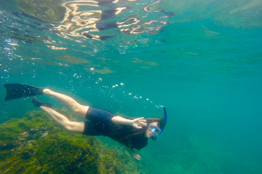 #snorkeling - Nemo II