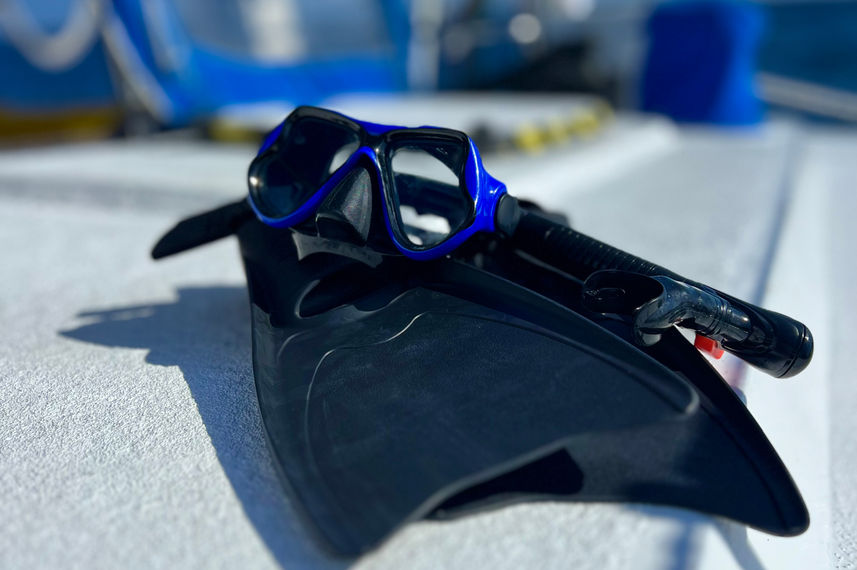 Diving
