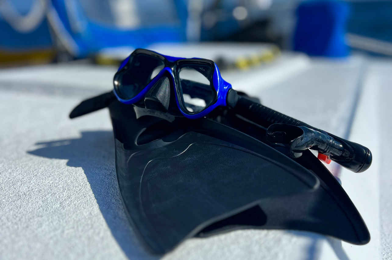 Diving