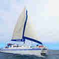 Nemo II 