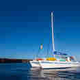 Nemo II
