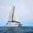 Nemo II
