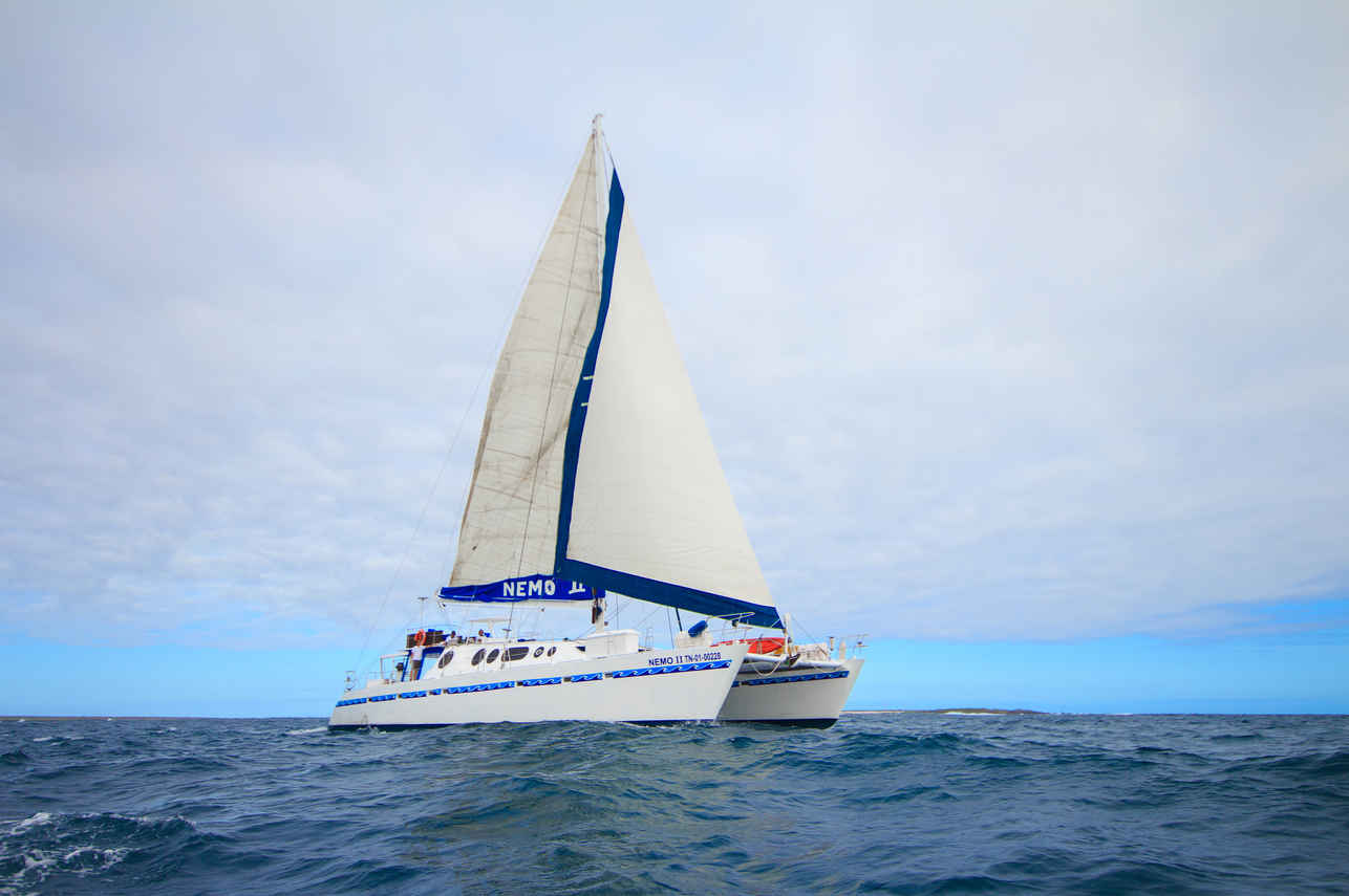 Nemo II
