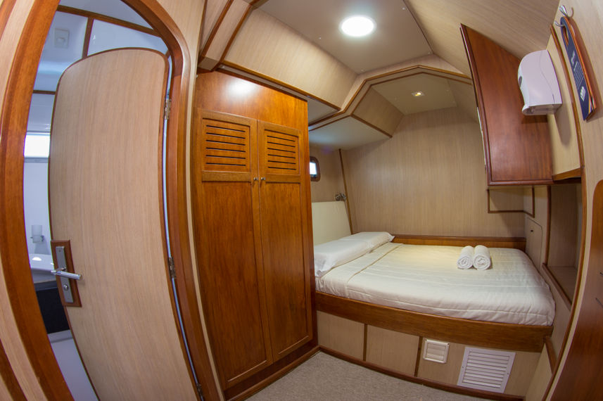 Cabin 5