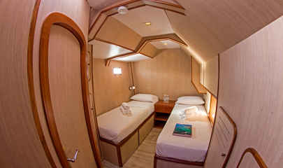 Cabin #5