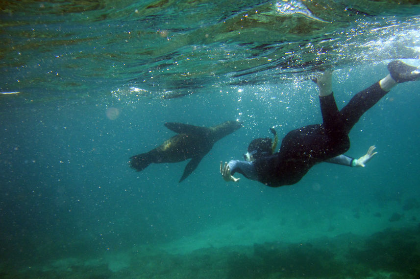#diving