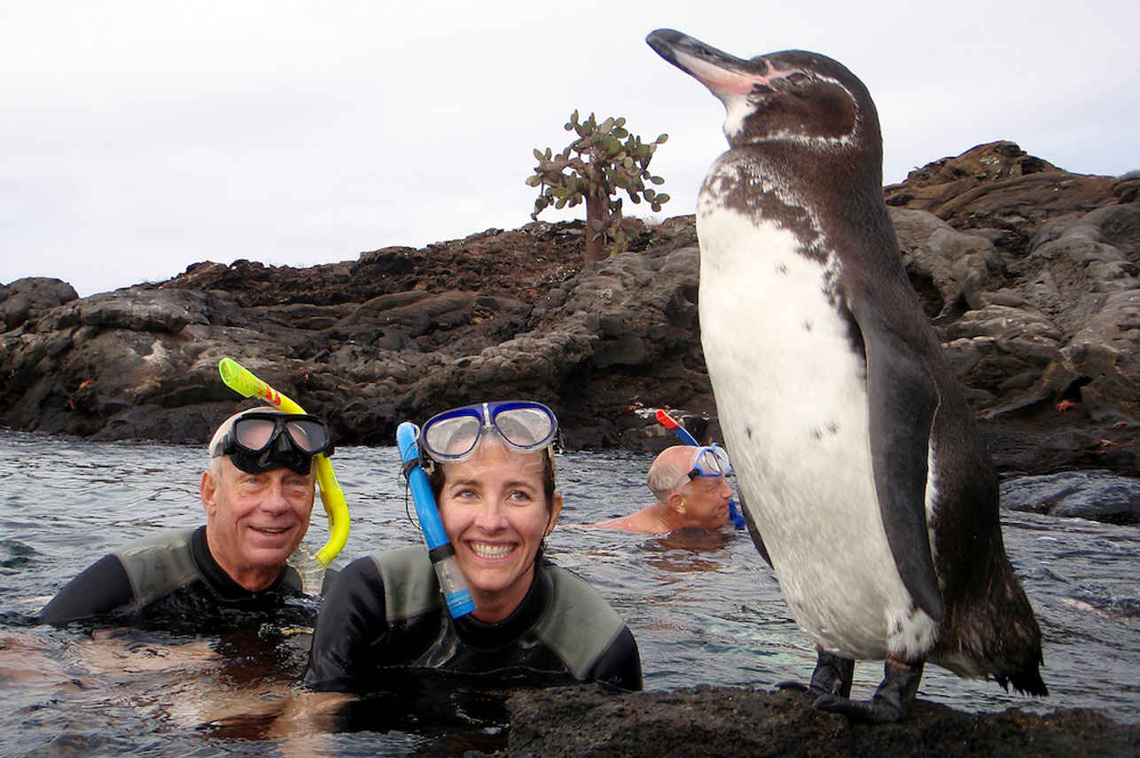 Snorkeling with Galapagos Penguins