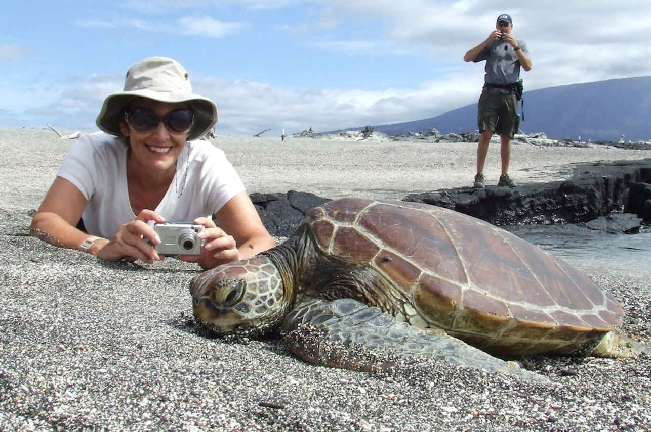 Galapagos Turtle