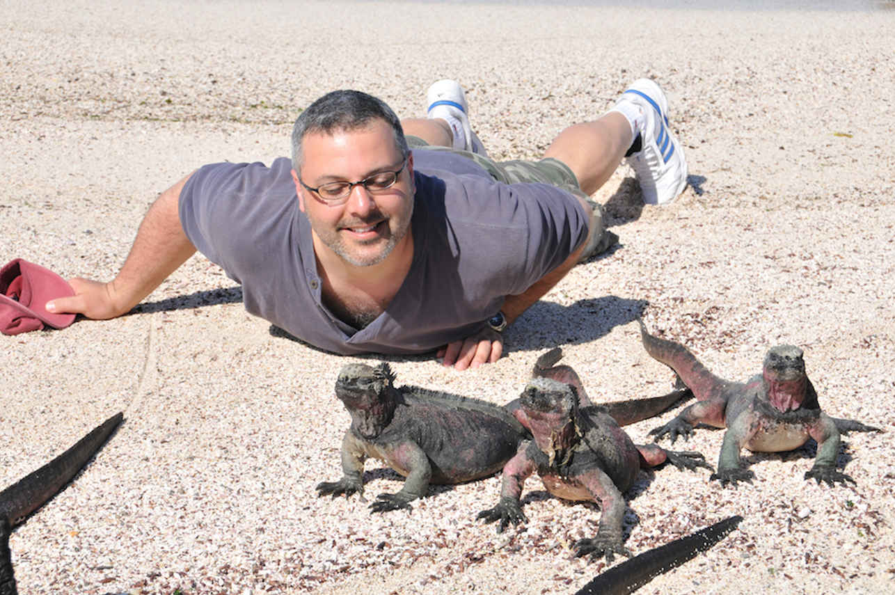 Galapagos Iguanas