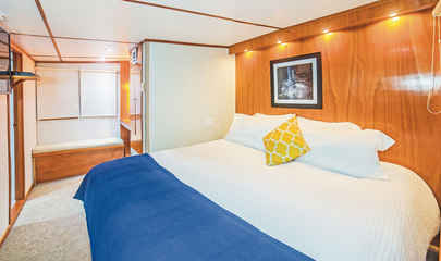 Premium Suite